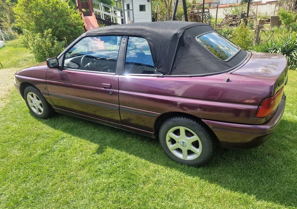 Ford Escort cena 3800 przebieg: 113150, rok produkcji 1993 z Golub-Dobrzyń małe 781